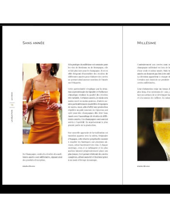 Livre cadeau à offrir aux amateurs de vin de champagne