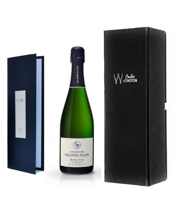 Champagne Blanc de Blanc en box champagne ou en coffret cadeau pour les fêtes